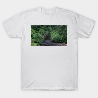 Silver Falls State Park Oregon T-Shirt